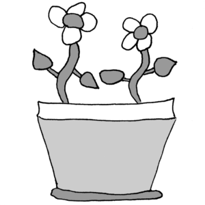 Jasmine -- Illustration by Börkur Sigurbjörnsson