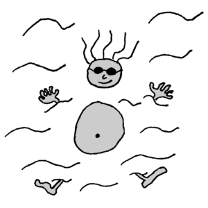 Waved -- Illustration by Börkur Sigurbjörnsson