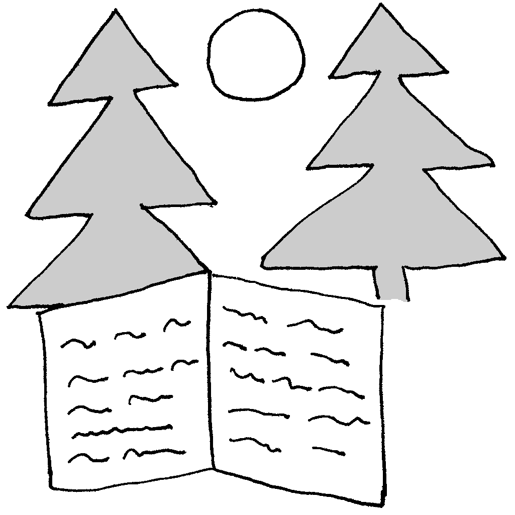 Sýndarveruleikafirring