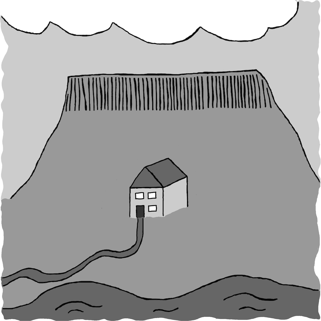 Aftur í heimahagann